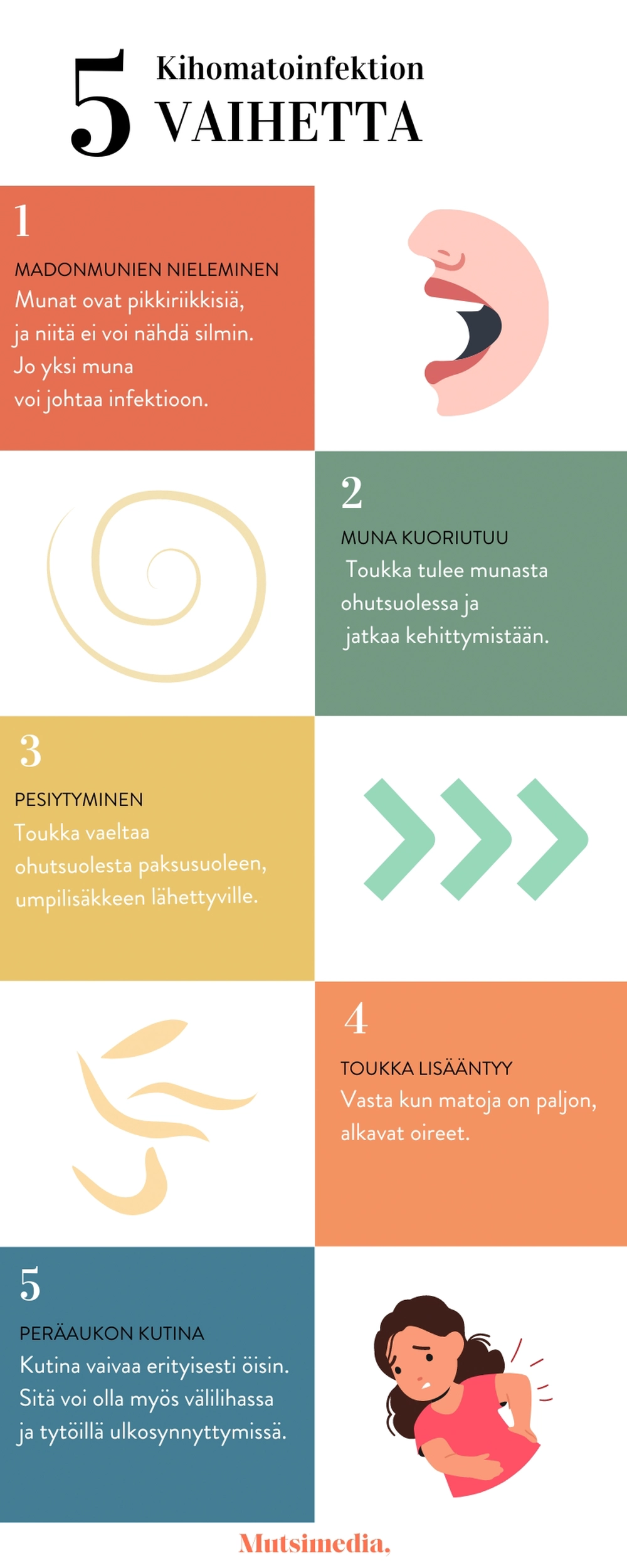 Kihomadot eivät ole vaarallisia eivätkä aiheuta muita sairauksia. Ne ovat yksinomaan ihmisen vaiva. Infograafi: Senni Loikala
