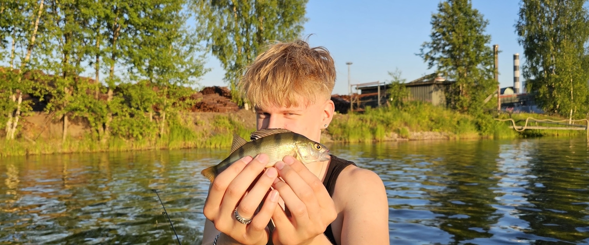 Artikkelin kuva