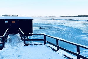 Artikkelin kuva